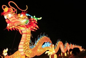 China-Light-Rotterdam-134607356525