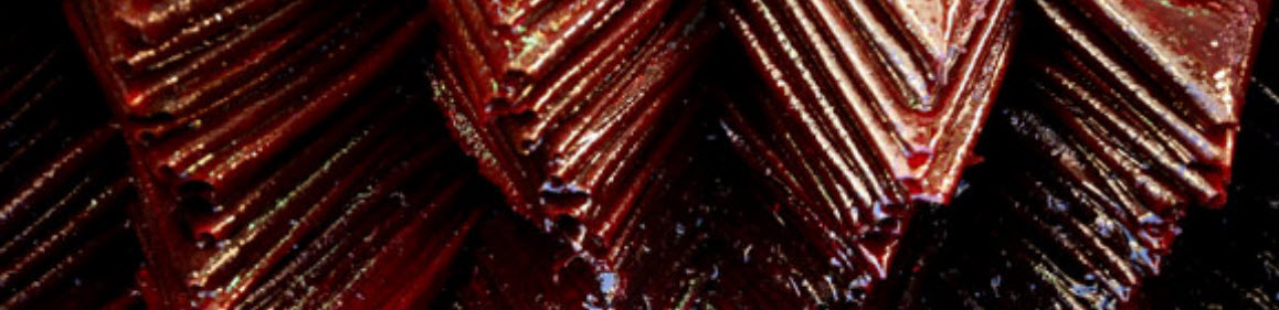 ۲۰۱۶-۰۱-۰۲_۲۱-۴۱-۲۸