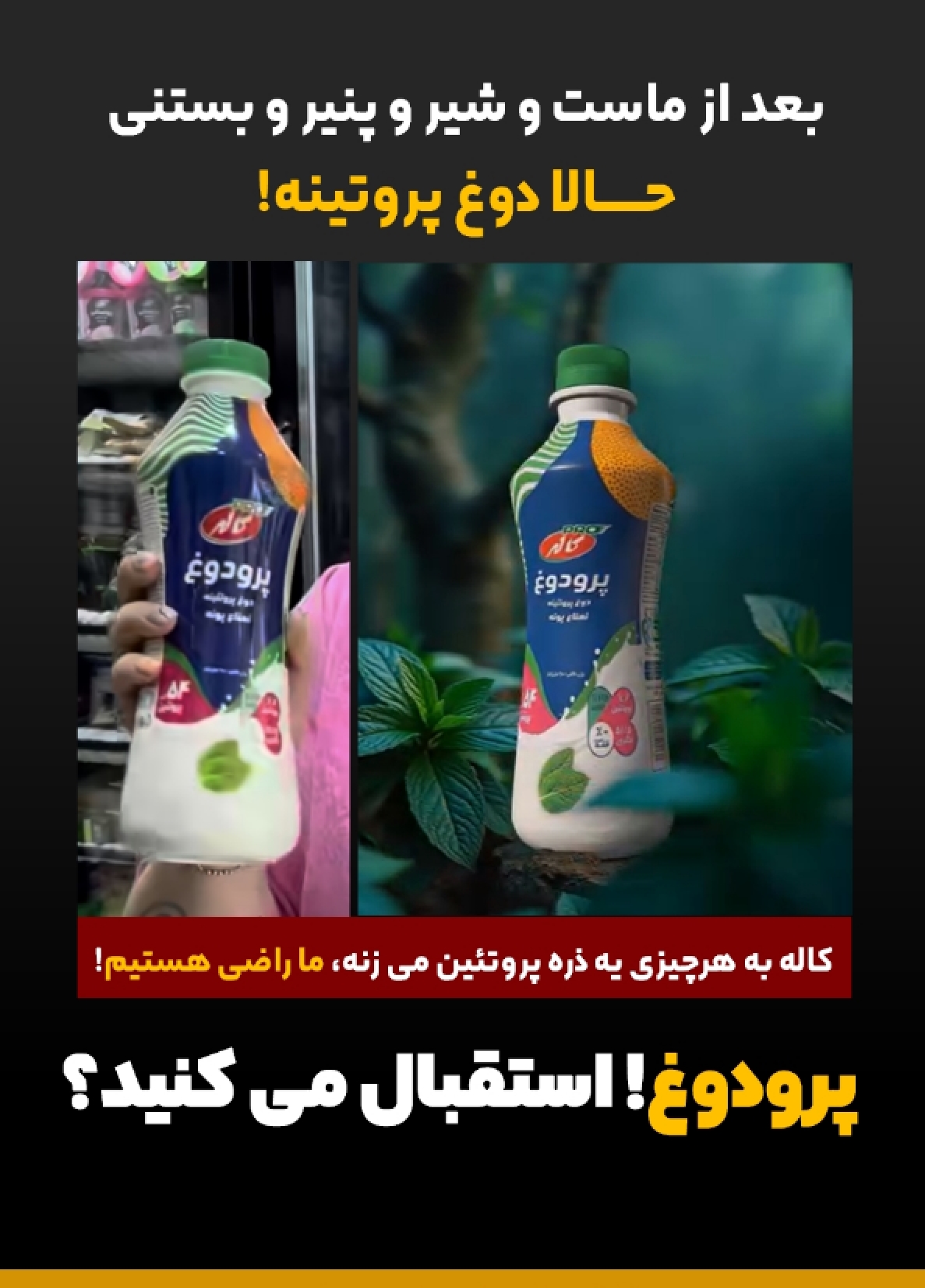 دوغ پروتینه